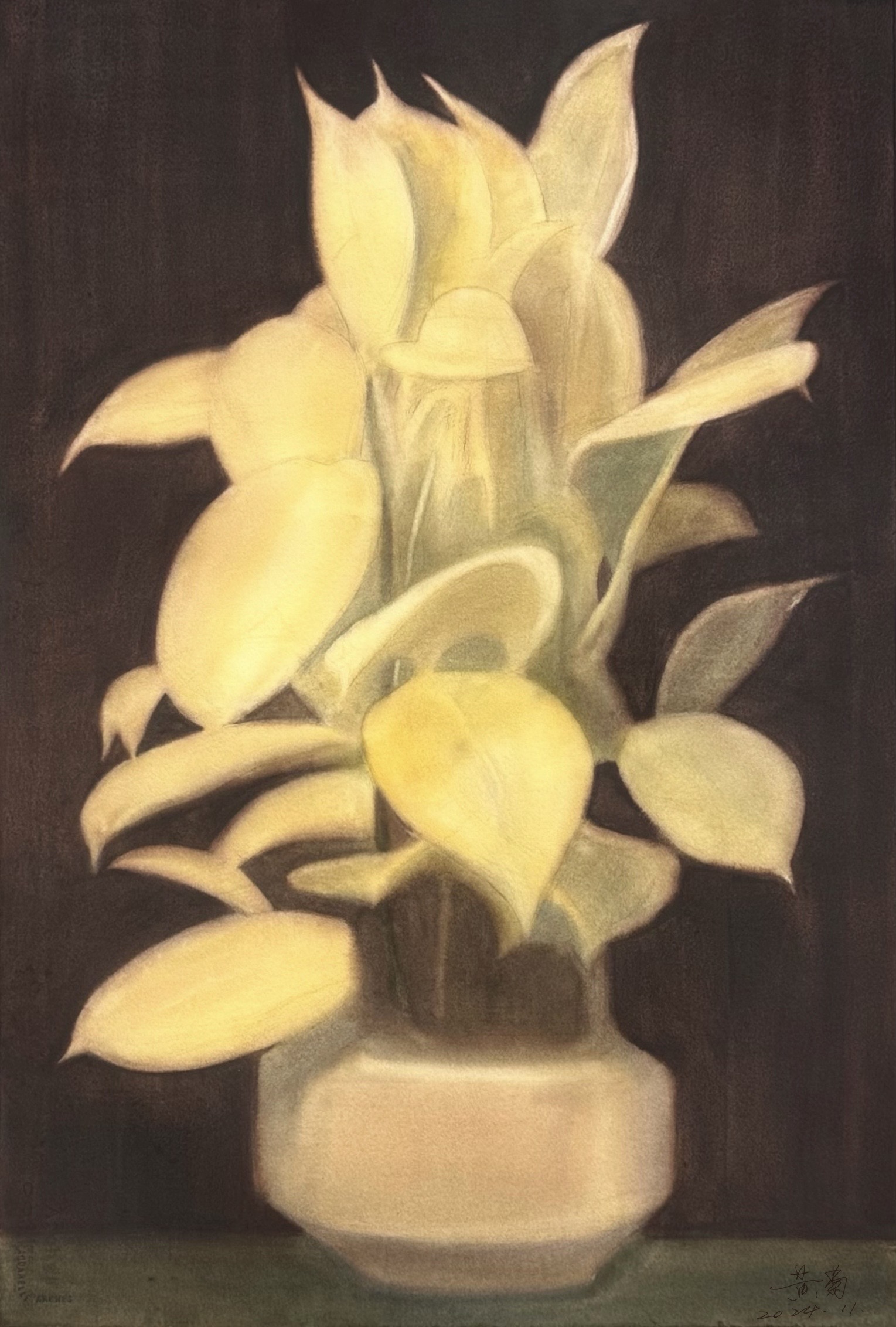 花卉作品