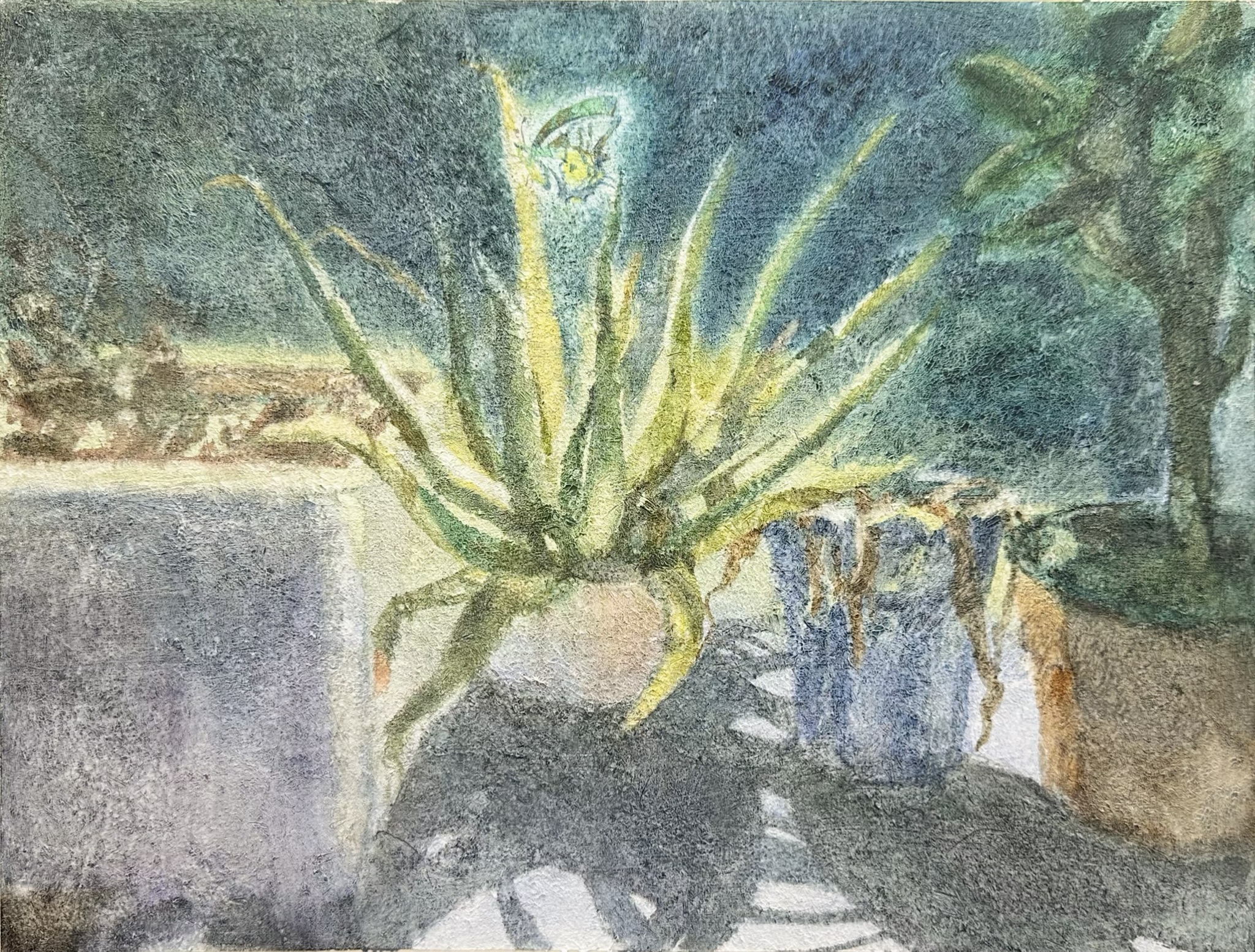 花卉作品