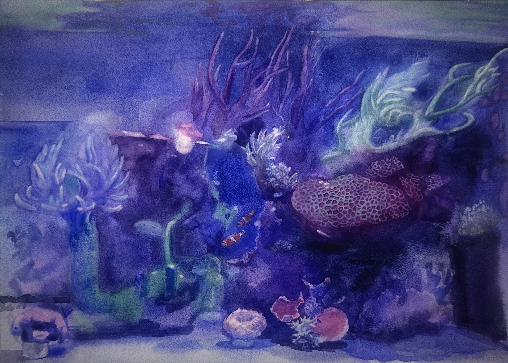 风景作品
