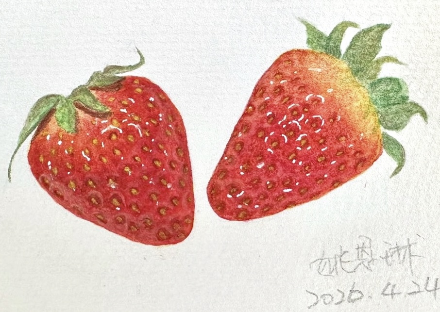 学员作品