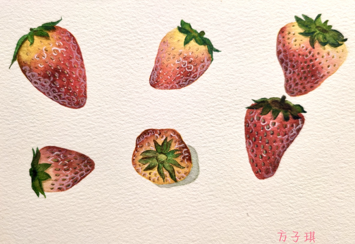 学员作品